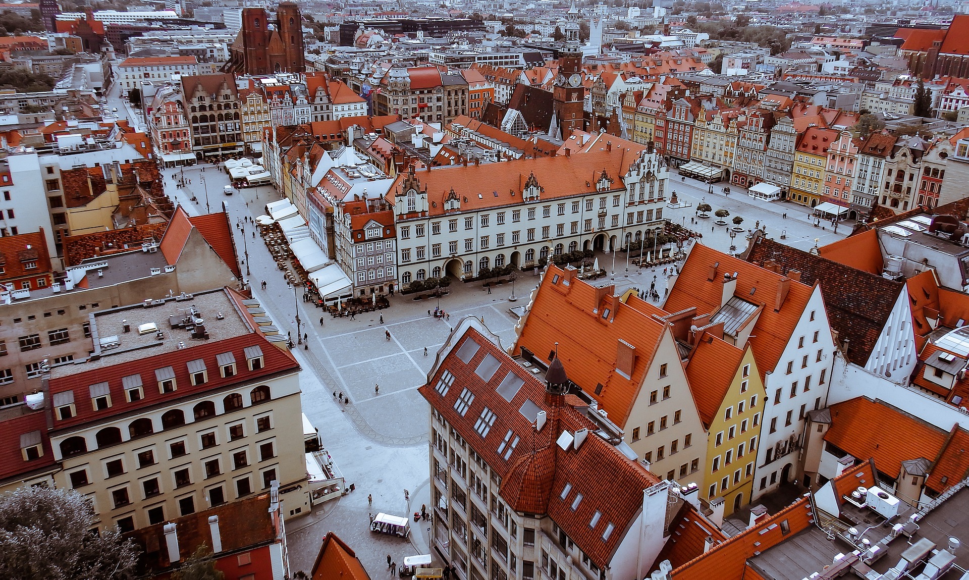 Co warto zobaczyć będąc na wycieczce we Wrocławiu?